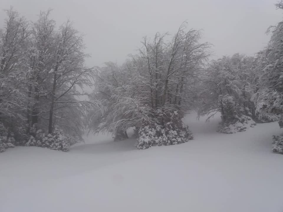 Aspetti fitoclimatici di Sanza